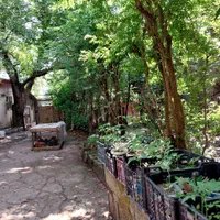 زمین(با کسر حریم خیابان) 158مترمربع سنددار پل عراق|فروش زمین و ملک کلنگی|رشت, دباغیان|دیوار