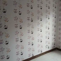 رولی ۵۵۰ قیمت باور نکردنی|خدمات پیشه و مهارت|بابلسر, |دیوار