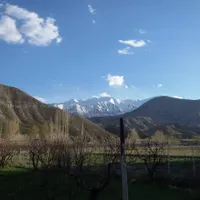 فرصتی استثنایی برای آرامش در قلب طبیعت|فروش زمین و ملک کلنگی|ارجمند, |دیوار
