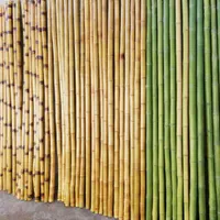 چوب بامبو & نی خیزران قطر3سانت