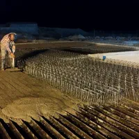 پخشر فوم سقف بلوک آجر تیرچه|خدمات پیشه و مهارت|یاسوج, |دیوار