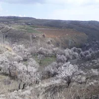 باغ زمین کشاورزی 500متری پل زمانخان سند دار|فروش دفتر صنعتی، کشاورزی، تجاری|اصفهان, آزادگان|دیوار