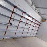 قفسه سوپری قفسه لچکی خور|فروشگاه و مغازه|تهران, مهران (سیدخندان)|دیوار