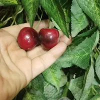 درختچه مصنوعی گیلاس