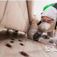 سمپاشی سوسک ساس مورچه پشه زنبور موش در تهران|خدمات نظافت|تهران, شهرک محلاتی|دیوار
