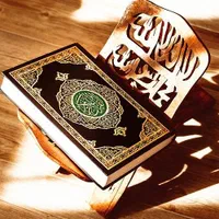 رفع بلا