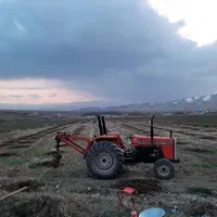 چاله فنس|خدمات باغبانی و درختکاری|الشتر, |دیوار