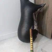 نی انبان .نی انبون معاوضه با پرنده