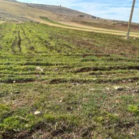 فروش زمین کشاورزی ۲۷۰۰متر سرجاده اصلی سراب نیلوفر|فروش زمین و ملک کلنگی|کرمانشاه, |دیوار