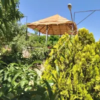 اجاره باغ ویلا استخر دار گویم ( امیر )|اجارهٔ کوتاه‌مدت ویلا و باغ|شیراز, گویم|دیوار