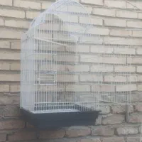 قفسه پرنده طوطی