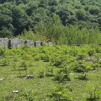 فروش ویژه ی زمین سنددار در سوادکوه