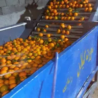 سورت سایزینگ واکس کلرشورابدرمانی گرمادرمانی مرکبات