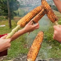 تور شمال۵روزمهشرمهشرفقط مخصوص بانوان۶/۳۰)ترکیه وان|تور و چارتر|قم, آذر (نکویی)|دیوار