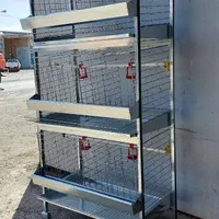 قفس جوجه یکروزه مرغ کبک کبوتر مرغ زینتی|لوازم جانبی حیوانات|تهران, خاوران|دیوار