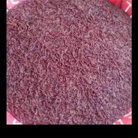 روغن خراطین اصل پروتز طبیعی بدون بازگشت|آرایشی، بهداشتی، درمانی|نجف‌آباد, |دیوار