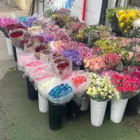 رزهلندی درجه یک۱۰هزار ماشین عروس و دسته گل عروس|گل و گیاه طبیعی|کرج, فاز ۱ مهرشهر|دیوار