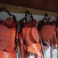 زین اسب تمامی چرم