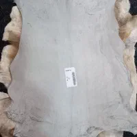 پوست بز|صنایع دستی و سایر لوازم تزئینی|تهران, مدائن|دیوار