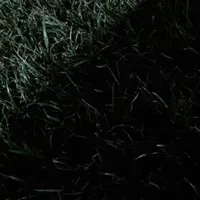 یک کیف مدارک گم شده به نام جواد شاکری