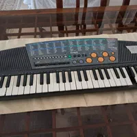 ارگ کاسیو