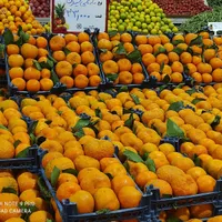 استخدام نیروی کار در میوه فروشی کوثر