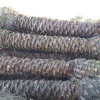 مجری طرح‌های کاشت نخل پالم درتمام نقاط نژاد قصب|خدمات باغبانی و درختکاری|بندرعباس, |دیوار