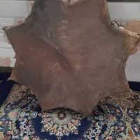فروش طبل پوستی ستاره ای|درام و پرکاشن|زرند, |دیوار