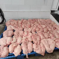 دنبه گوسفندی