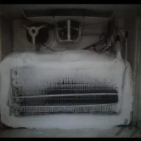 تعمیرات تخصصی یخچال صنعتی و خانگی  و لباسشویی|خدمات پیشه و مهارت|بیرجند, |دیوار