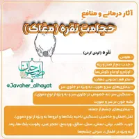 حجامت درمانی و اعمال یداوی ثامن|خدمات آرایشگری و زیبایی|رشت, نامجو|دیوار