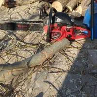 خدمات باغبانی وسمپاشی|خدمات باغبانی و درختکاری|نیشابور, |دیوار