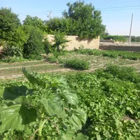 فروش زمین(باغ) ۵۰۵ متری در باغ فردوس(ناژوان)