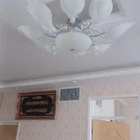 لوسترهشت شاخه برگی