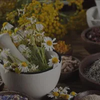 آموزش گیاهان دارویی و داروسازی گیاهی|خدمات آموزشی|تهران, جمهوری|دیوار