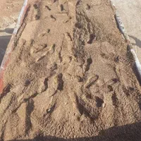 ماسه و شن و صدف و کوپال و بادی حمیدیه ده چرخ