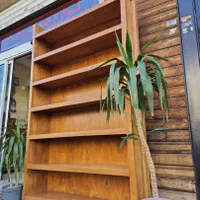 کتابخانه چوب واقعی عمری|کتابخانه، شلف، قفسه‌های دیواری|تهران, عبدل‌آباد|دیوار