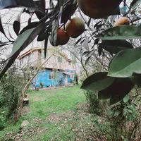 ویلاباغ7500متری دنج خوش قیمت مناسب برای خاص پسندان|فروش خانه و ویلا|رشت, بازار|دیوار