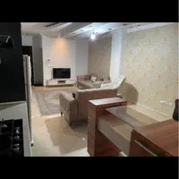 هتل اپارتمان مبله واحد سوییت  جلال ال احمد|اجارهٔ کوتاه‌مدت آپارتمان و سوئیت|تهران, صادقیه|دیوار