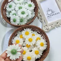 گیفت شمع بابونه|صنایع دستی و سایر لوازم تزئینی|تهران, استاد معین|دیوار