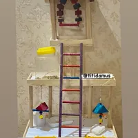 پارک بازی انواع پرنده وختی کاسکو|لوازم جانبی حیوانات|رشت, گلسار|دیوار