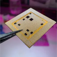 تعمیرات تخصصی موبایل آیفون و سایر برندها|خدمات رایانه‌ای و موبایل|کرج, مهرویلا|دیوار