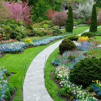 محوطه سازی.هرس گل و نهال .شخم.علف زنی.سم زنی|خدمات باغبانی و درختکاری|رشت, آزادگان|دیوار