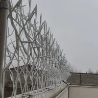 تولید و پخش حفاظ شاخ گوزنی