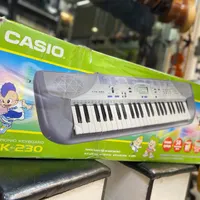 Casio ctk230|پیانو، کیبورد، آکاردئون|تهران, افسریه|دیوار