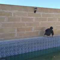 راپل بند باز طناب کار پیچ و رولپلاک نما|خدمات پیشه و مهارت|کرج, فاز ۴ مهرشهر|دیوار