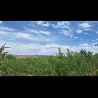 فروش باغ ۹۰۰ متری شهرکرد منطقه آزاد پل زمانخان|فروش زمین و ملک کلنگی|اصفهان, آزادگان|دیوار