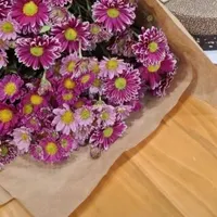 بامیلی طلاببر