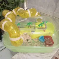 همستر