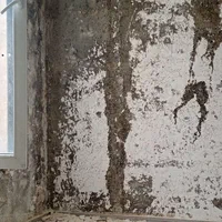 گچکاری ولکه گیری گچبری پیش ساخته انواع قاب دیوار|خدمات پیشه و مهارت|چالوس, |دیوار